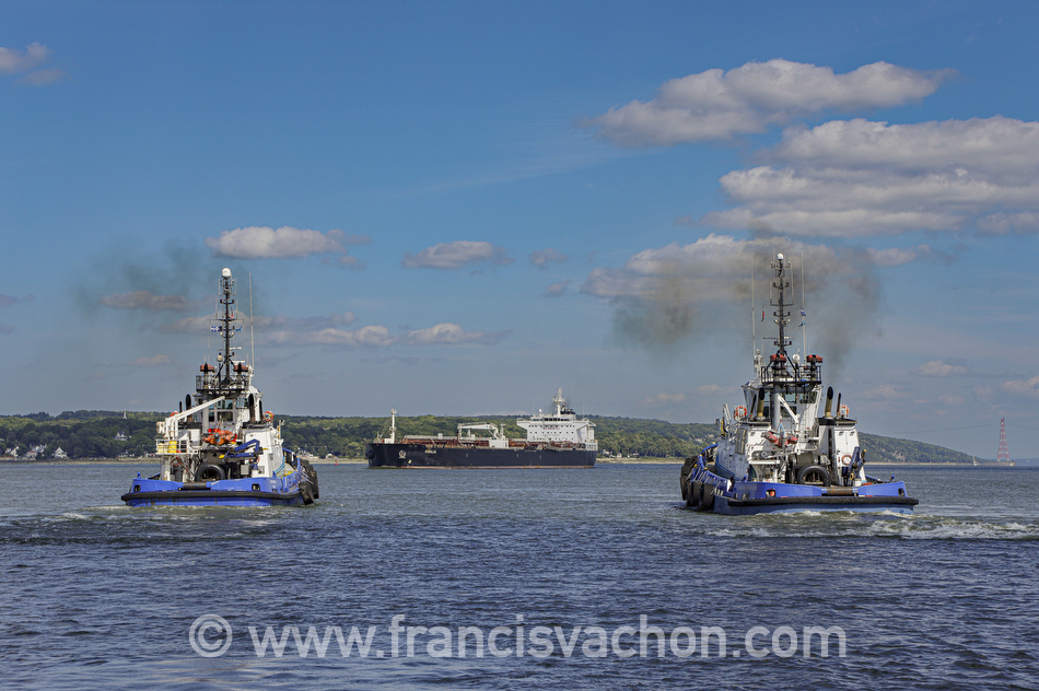Les remorqueurs Ocean Raynald T et Ocean Bertrand Jeansonne se positionnent pour prendre en charge l’Amalia, un navire-vraquier, pour son amarrage au port de Québec, le 25 août 2022.