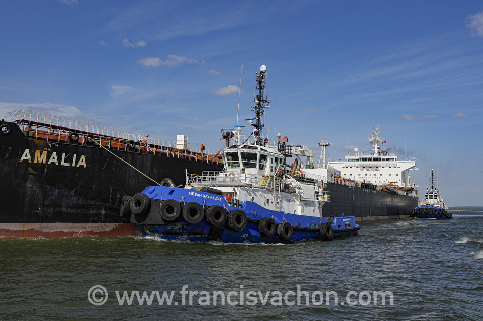 Des cordages sont lancés et mis en place afin que les remorqueurs Ocean Raynald T et Ocean Bertrand Jeansonne puissent guider l’Amalia lors de son amarrage au port de Québec.