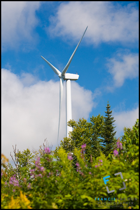 Carleton Wind Farm in Carleton-sur-Mer