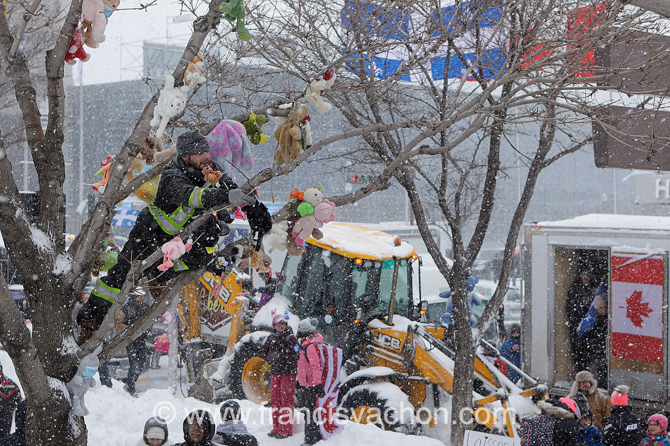 Un homme installe des toutous dans un arbre pendant la manifestation du 19 et 20 février à Québec