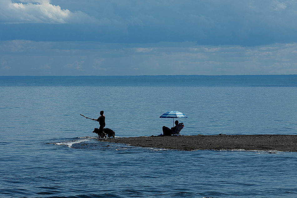 Une femme s’amuse avec un chien sur une plage de Carleton-sur-Mer.