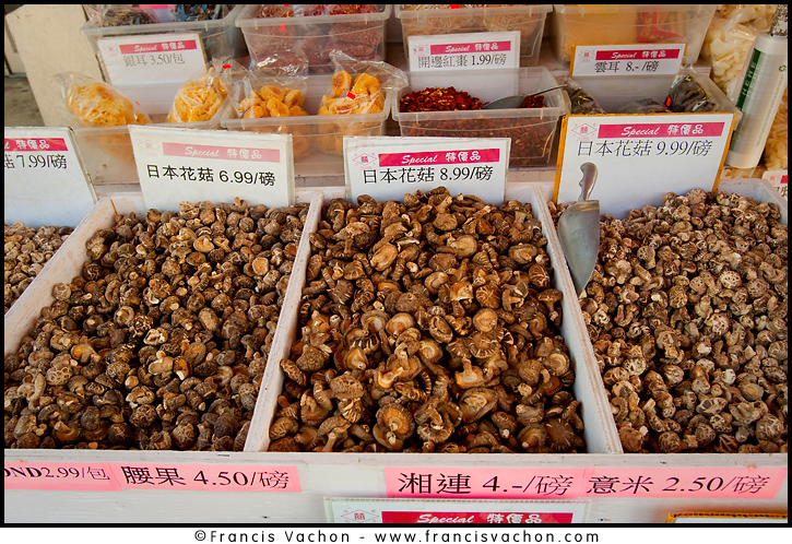 Mushrooms are on display in stalls in Toronto Chinatown April 19, 2010. Toronto Chinatown is an ethnic enclave in Downtown Toronto with a high concentration of ethnic Chinese residents and businesses extending along Dundas Street West and Spadina Avenue. The Canadian Press Images/Francis Vachon